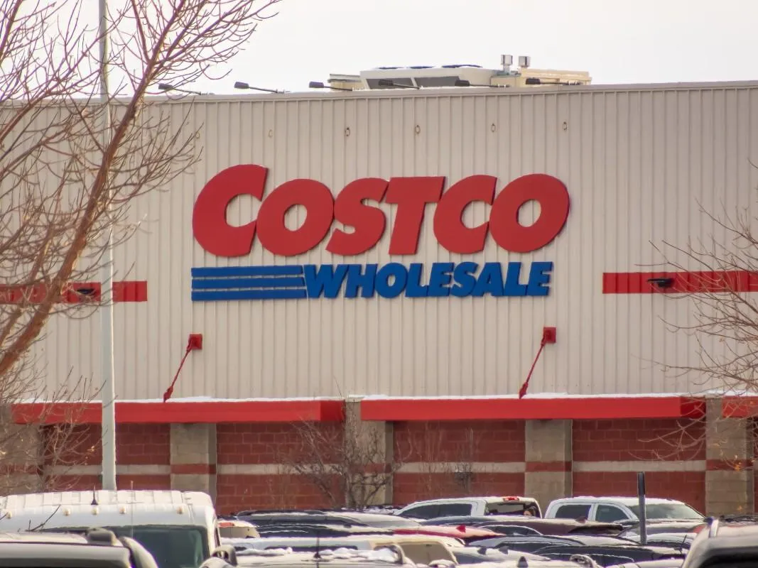 شجرة قطط متعددة المستويات من Costco: الحل الأمثل لراحة واستمتاع قطتك