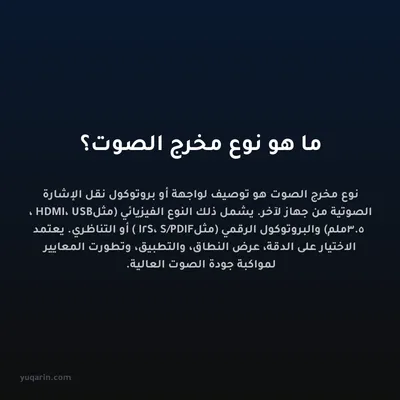 ما هو نوع مخرج الصوت؟