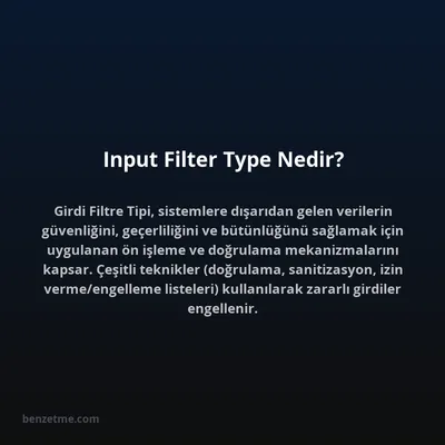 Input Filter Type Nedir?