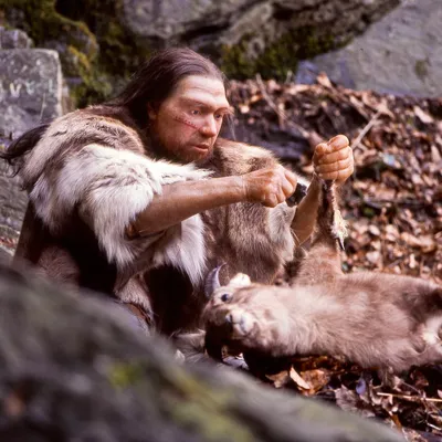 Neandertal-İnsan İlişkisi, Dev Yıldızlar ve Fosiller: Haftanın Bilimsel Keşifleri