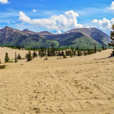 Carcross Desert: Debunking the World's Smallest Desert Myth