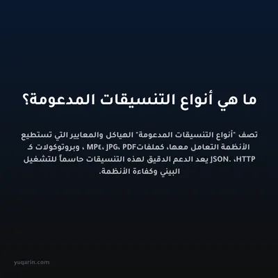 ما هي أنواع التنسيقات المدعومة؟