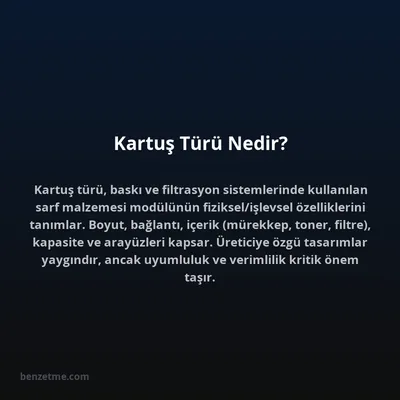 Kartuş Türü Nedir?