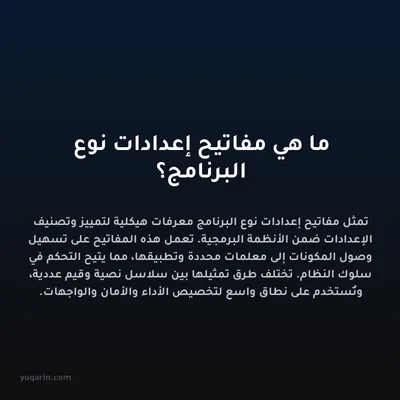 ما هي مفاتيح إعدادات نوع البرنامج؟