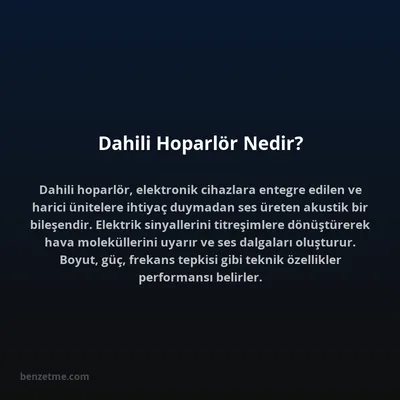 Dahili Hoparlör Nedir?