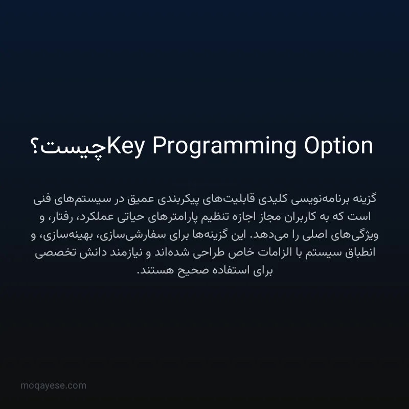 Key Programming Option چیست؟