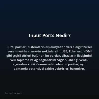 Input Ports Nedir?