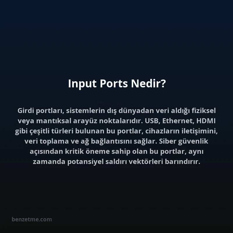 Input Ports Nedir?