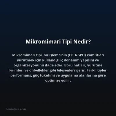 Mikromimari Tipi Nedir?