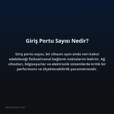 Giriş Portu Sayısı Nedir?