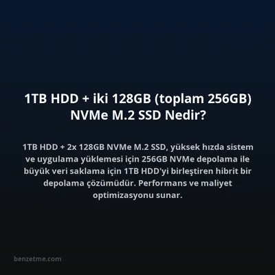 1TB HDD + iki 128GB (toplam 256GB) NVMe M.2 SSD Nedir?