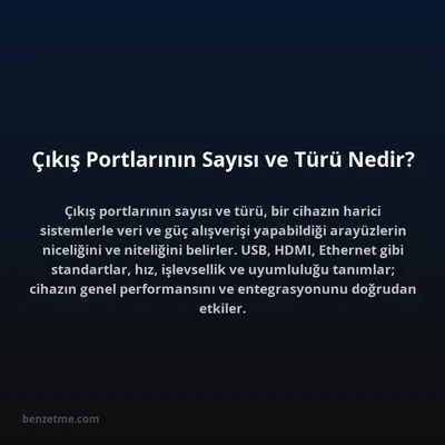 Çıkış Portlarının Sayısı ve Türü Nedir?