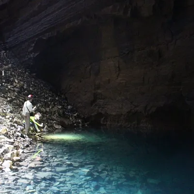 Mexican Tetra Study Reveals Genetic Basis for Eyeloss in Subterranean Species
