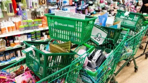 تفشي فيروس هانتا على متن سفينة سياحية: الأسباب، الأعراض، وتطورات الوضع