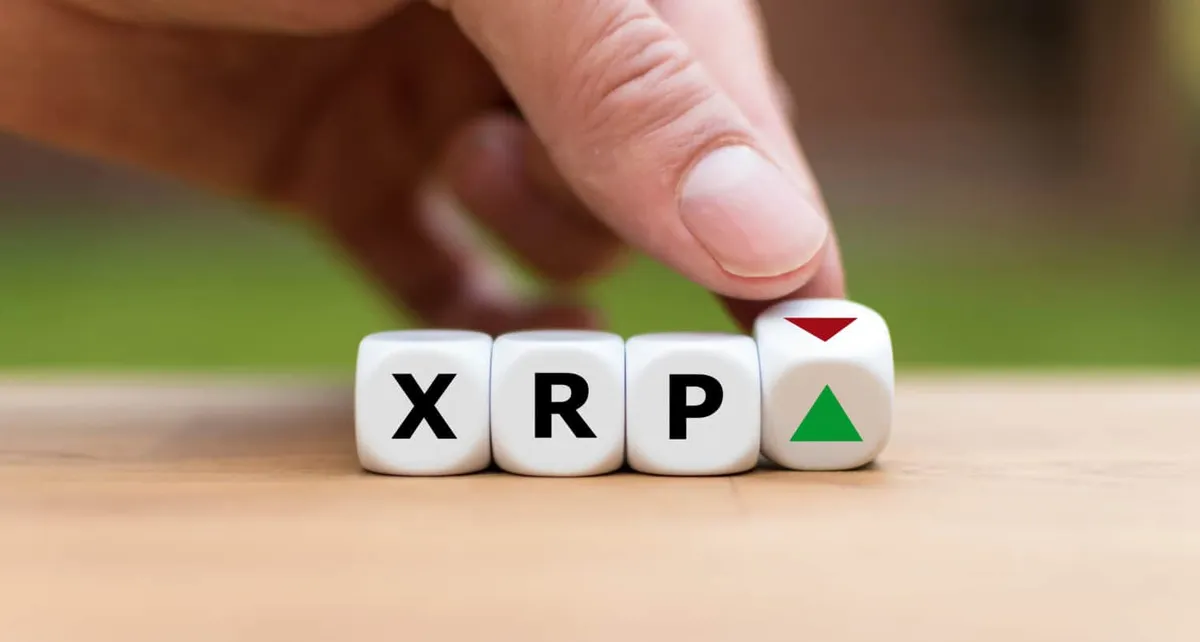 توقعات سعر XRP: هل يصل إلى 24 دولارًا بحلول عام 2031؟ تحليل مفصل للأداء المستقبلي