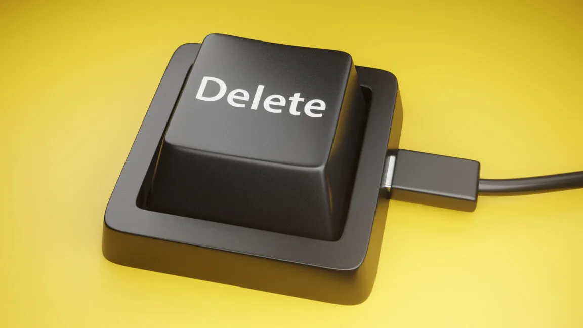 Brothers Accused of Wiping Government Databases Post-Termination