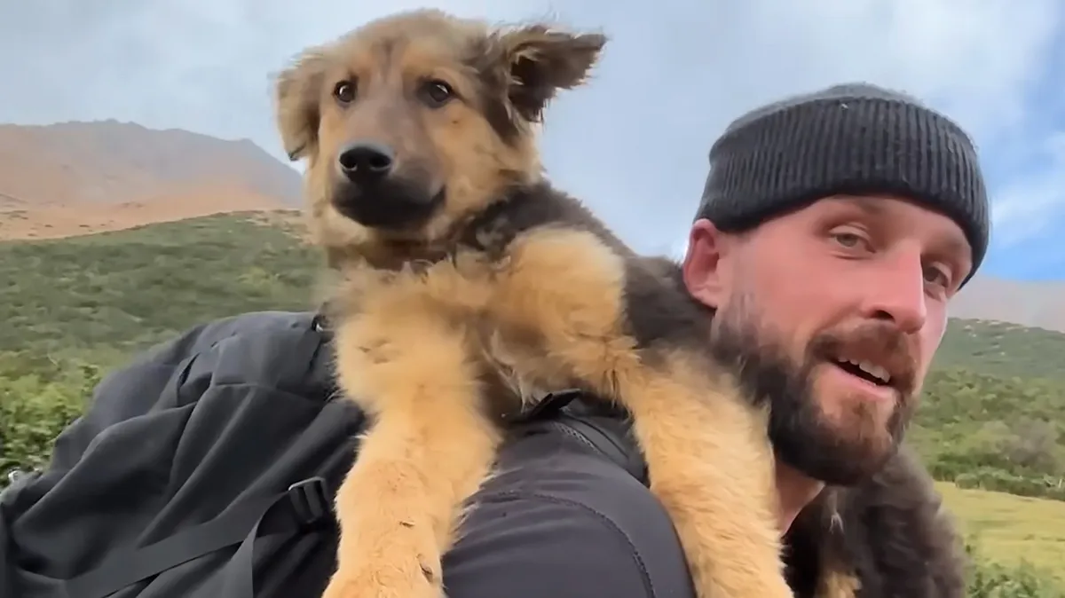 Hiker's 'Impossible' Decision: Puppy Found on Mountain Peak Finds New Home