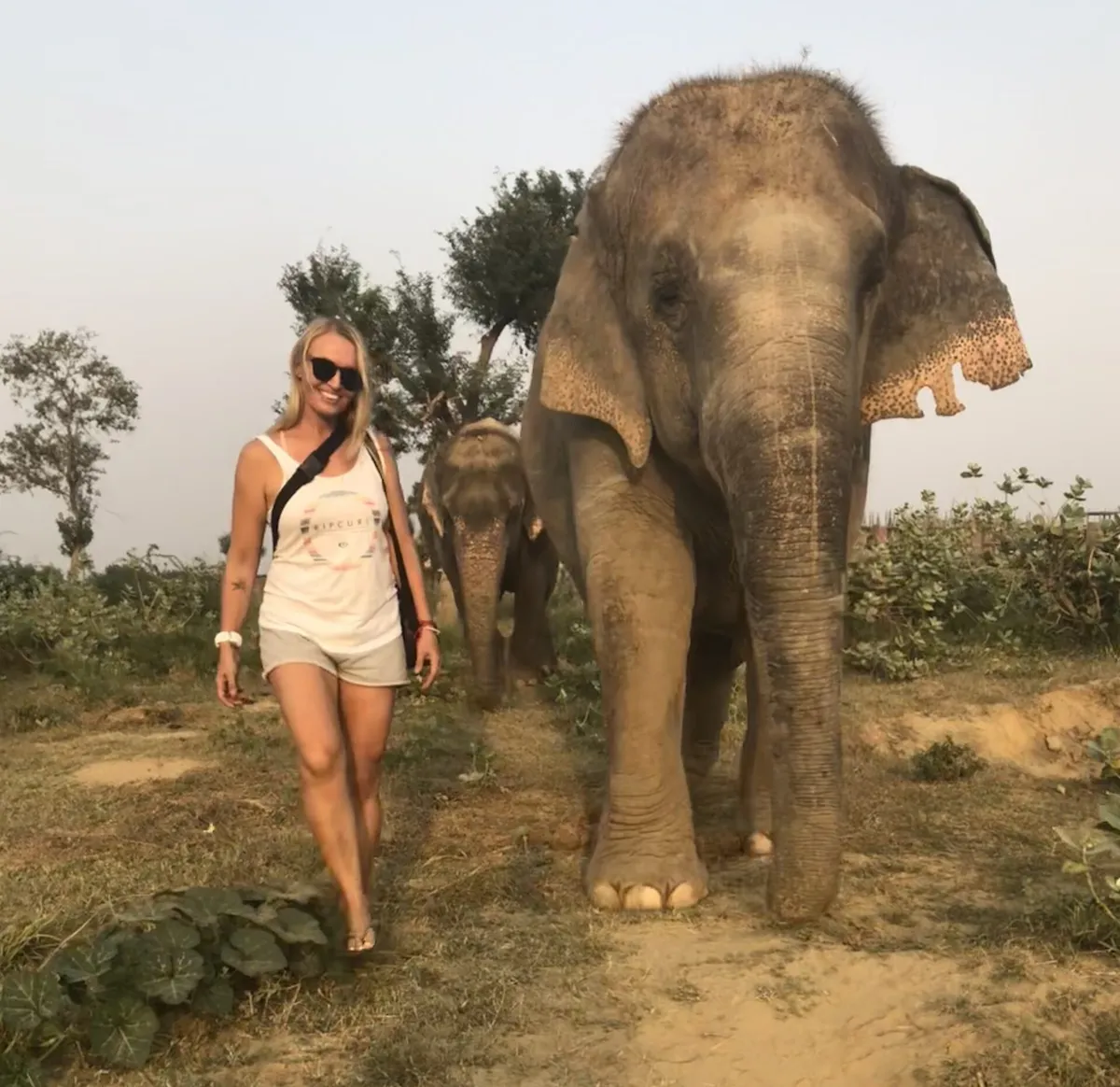 Advocating for Ethical Tourism: An Expat's Journey in Phuket