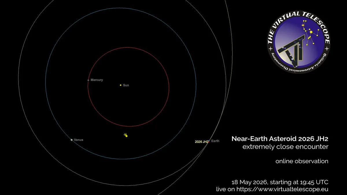 Watch Asteroid 2026 JH2, the Size of a Blue Whale, Safely Pass Earth Live Online