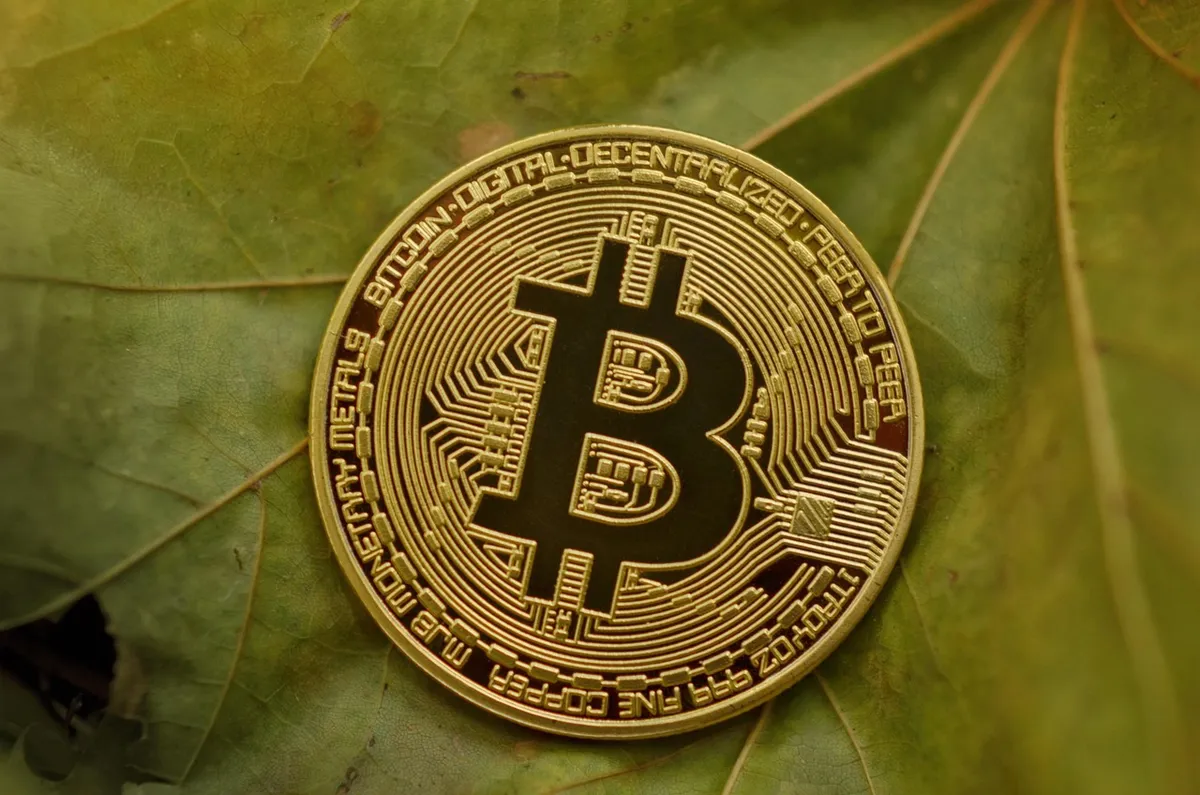 Bitcoin Bear Market Bottoms Historically Occur in Q4: Will 2026 Be the Year?