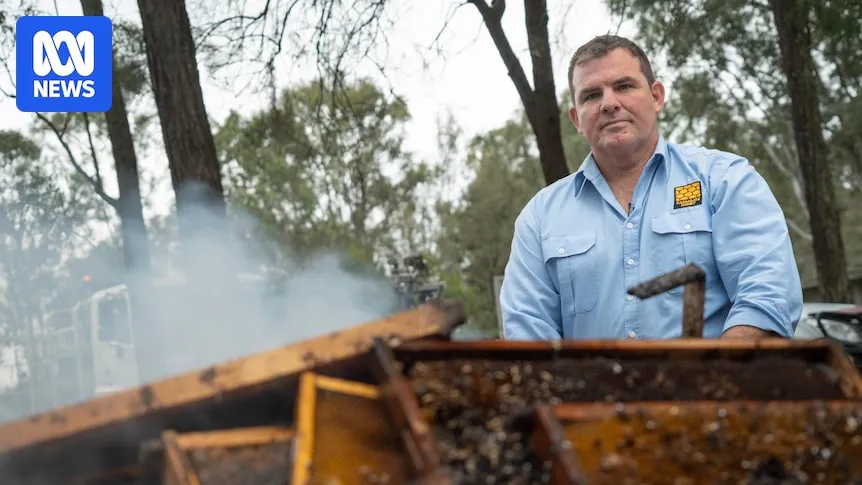 Queensland Beekeepers Battle Varroa Mite Crisis Amidst Colony Collapse