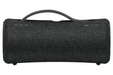 Sony Srs Xg300