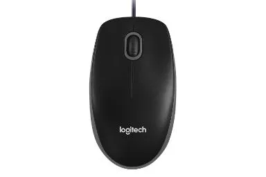 Logitech B100
