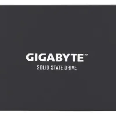 جيجابايت Gp Gstfs31256Gtnd Sata 2 5 Inch 256Gb