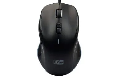Exon G 536E