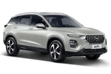 Haima 8S