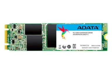 صورة Adata Ultimate Su800 M2 256Gb