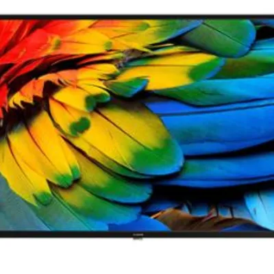 Xvision 43Xk590