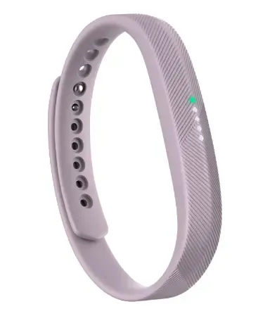 Fitbit Flex 2