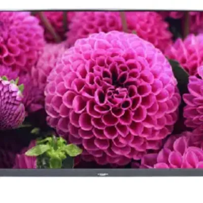 Xvision 65Xtu845