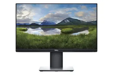 Dell P2319H