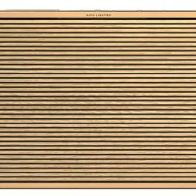 Bang  Olufsen Beosound Level