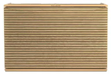 Bang  Olufsen Beosound Level