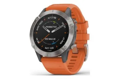 Garmin Fenix 6