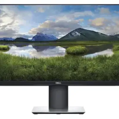 Dell P2421D