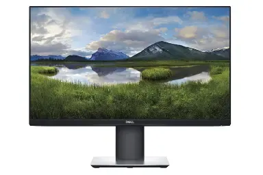 Dell P2421D