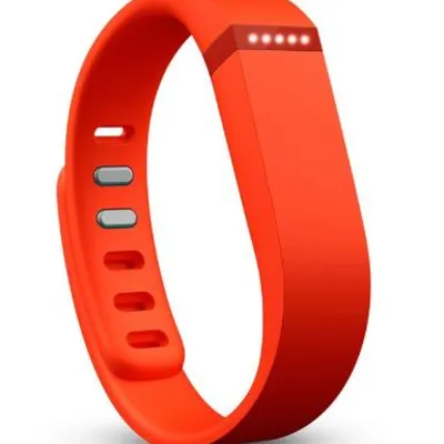Fitbit Flex