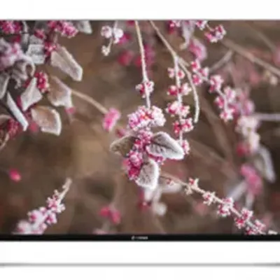 Snowa Ssd 55Sk14100U