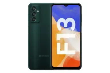 Samsung Galaxy F13