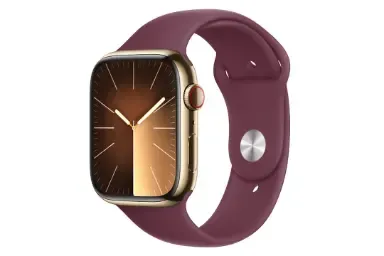 صورة Apple Watch Series 9 45Mm Stainless Steel