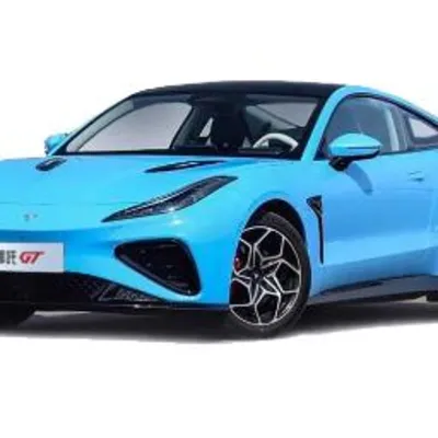 Neta Gt