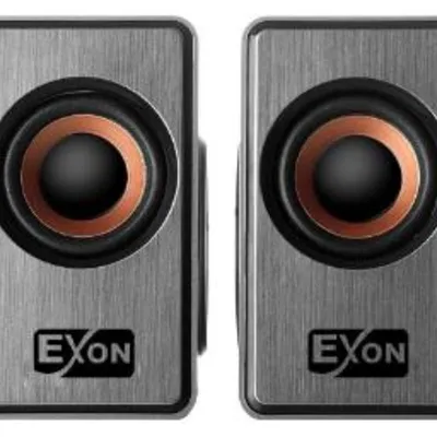 Exon E006