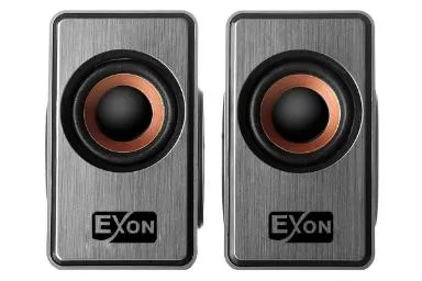 Exon E006