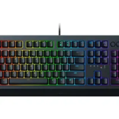 Razer Cynosa V2