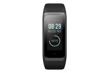 Xiaomi Amazfit Cor 2