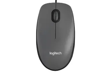 Logitech M100R